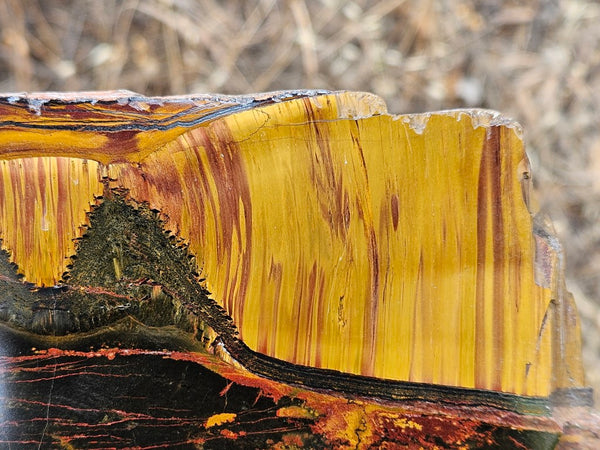 Polished Tiger Eye slab TE433