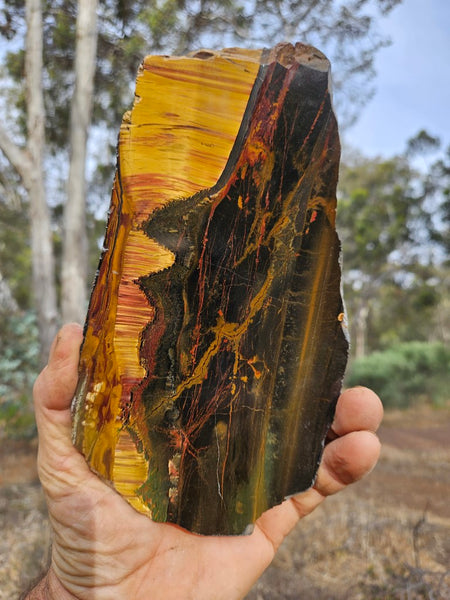 Polished Tiger Eye slab TE433