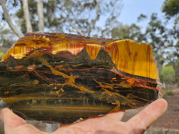 Polished Tiger Eye slab TE433