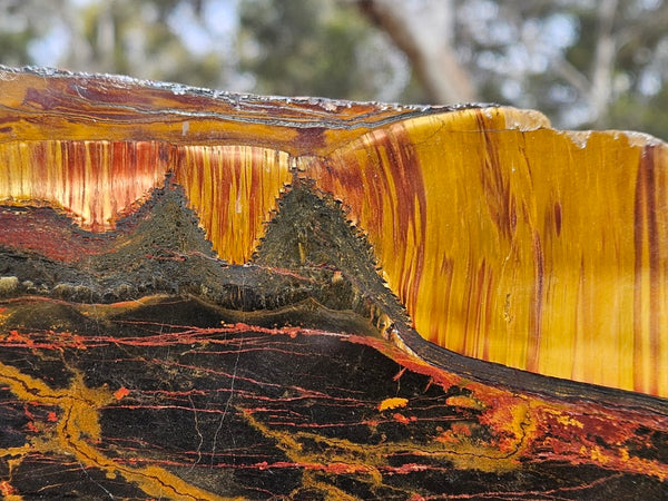 Polished Tiger Eye slab TE433