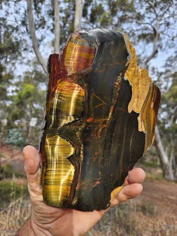 Polished Tiger Eye slab TE434