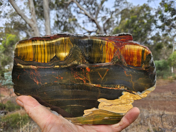 Polished Tiger Eye slab TE434