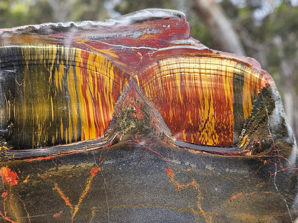 Polished Tiger Eye slab TE434