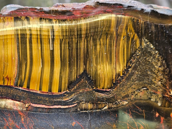 Polished Tiger Eye slab TE434