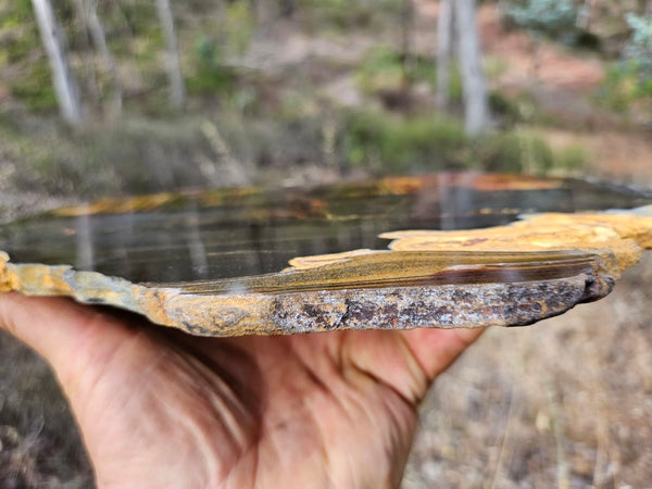 Polished Tiger Eye slab TE434