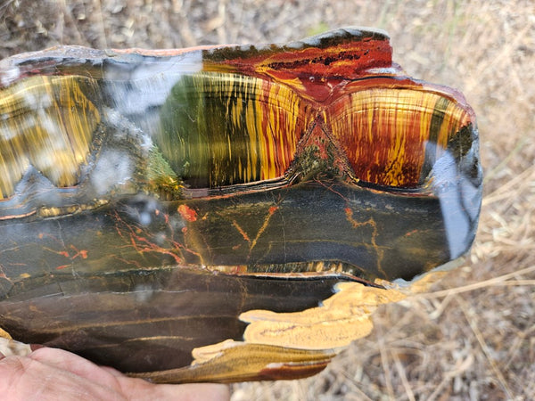 Polished Tiger Eye slab TE434