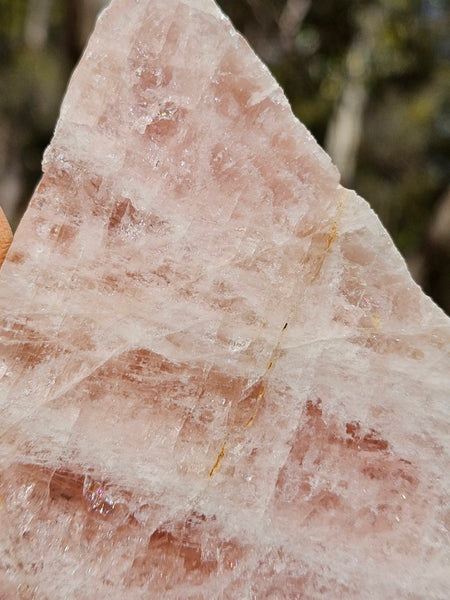 Polished Pink Beryl slab BY146