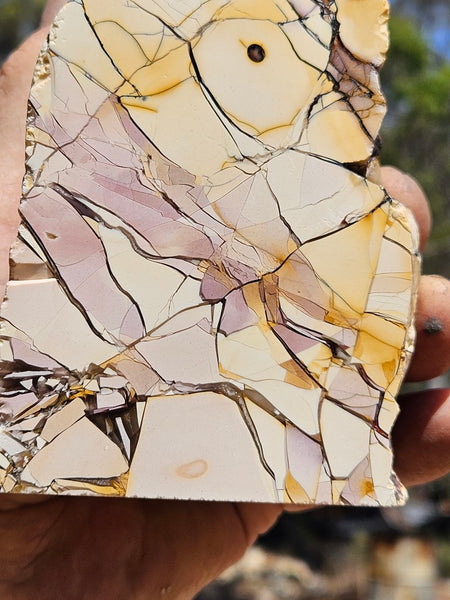 Polished Brecciated Mookaite rock BM327