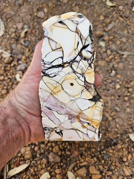 Polished Brecciated Mookaite rock BM327