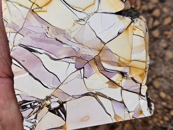 Polished Brecciated Mookaite rock BM327