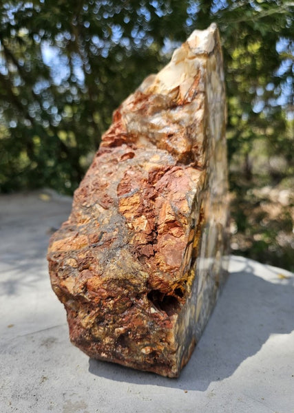 Polished Brecciated Mookaite rock BM328