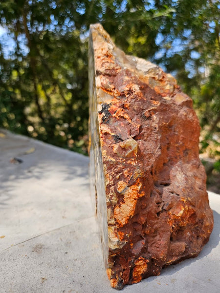 Polished Brecciated Mookaite rock BM328