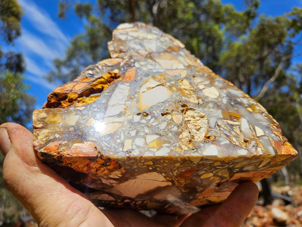 Polished Brecciated Mookaite rock BM328