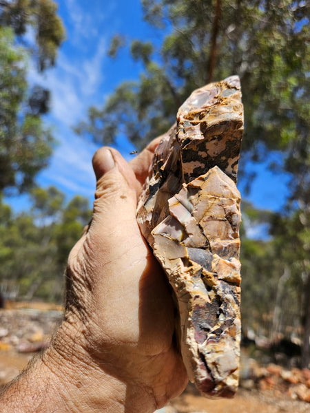 Polished Brecciated Mookaite rock BM330