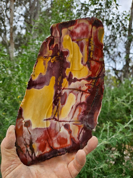 Polished  Mookaite slab MK526