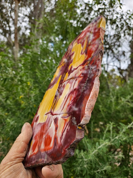 Polished  Mookaite slab MK526