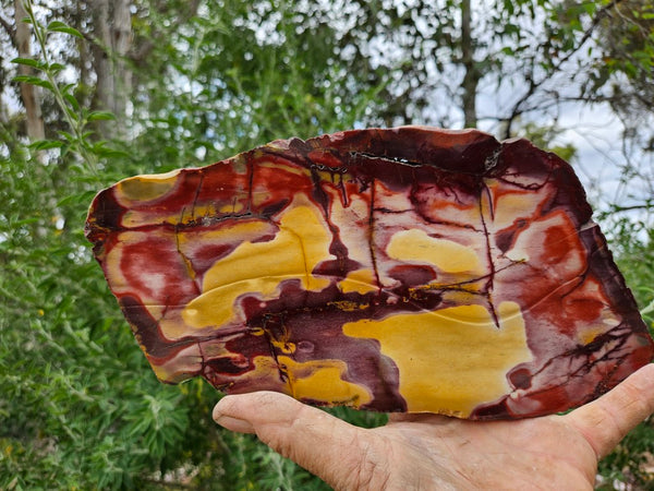 Polished  Mookaite slab MK526