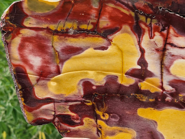 Polished  Mookaite slab MK526