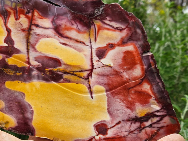 Polished  Mookaite slab MK526