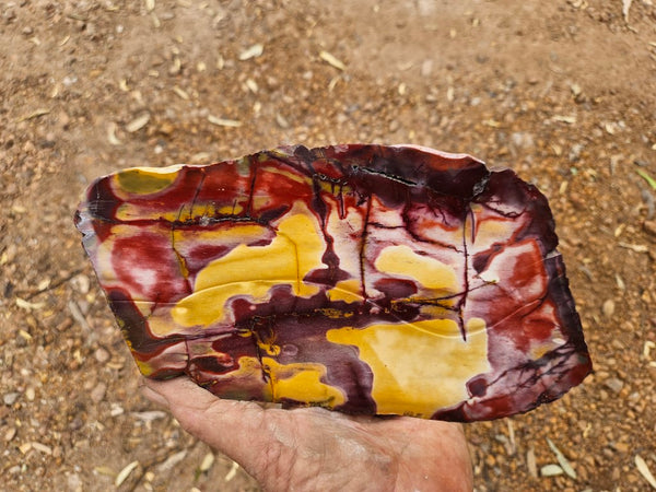 Polished  Mookaite slab MK526