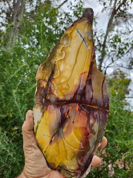 Polished  Mookaite slab MK527