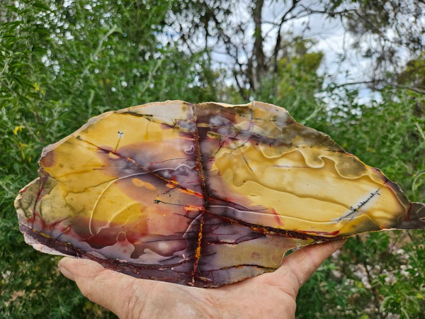 Polished  Mookaite slab MK527