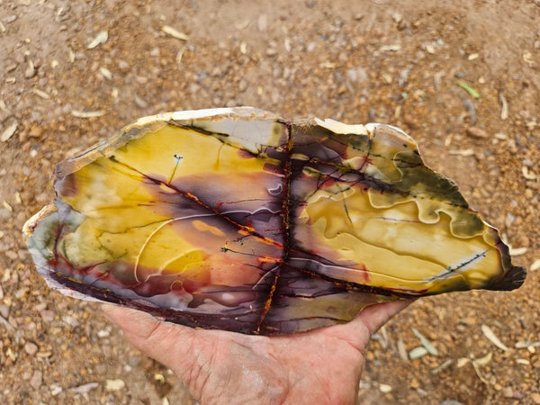 Polished  Mookaite slab MK527