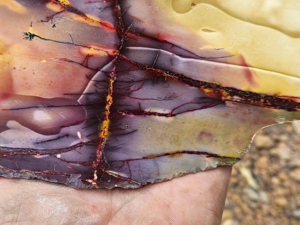 Polished  Mookaite slab MK527