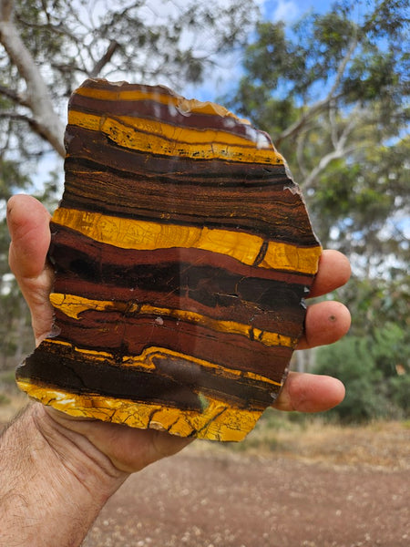 Polished Desert Sunset slab DS196