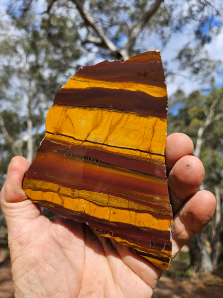 Polished Desert Sunset slab DS198