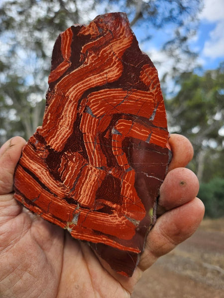 Polished  Snakeskin Jasper slab SS190