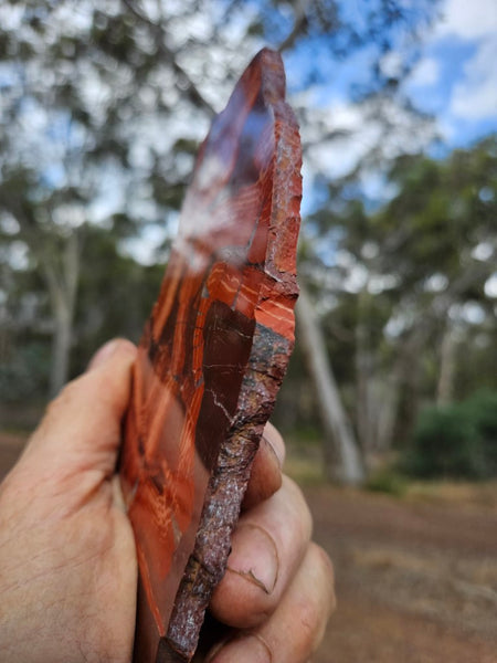 Polished  Snakeskin Jasper slab SS190