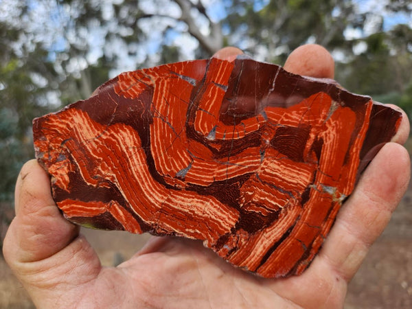 Polished  Snakeskin Jasper slab SS190