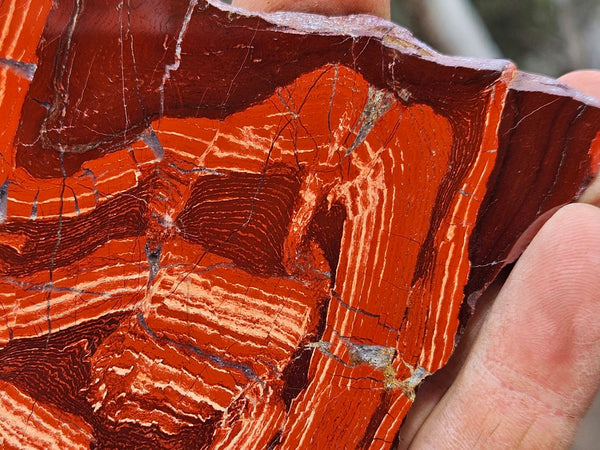 Polished  Snakeskin Jasper slab SS190