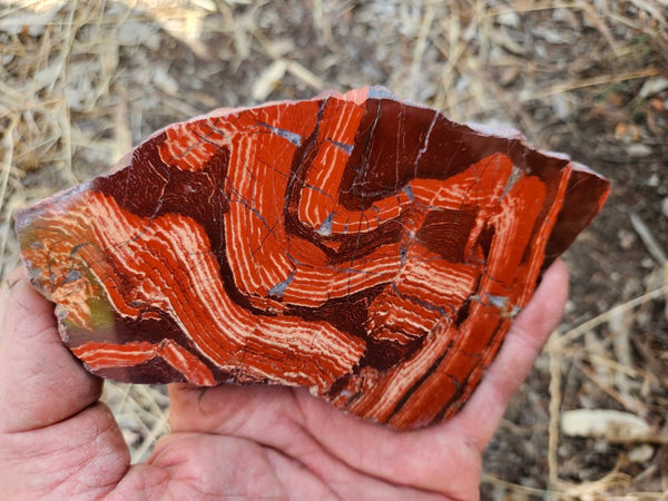 Polished  Snakeskin Jasper slab SS190