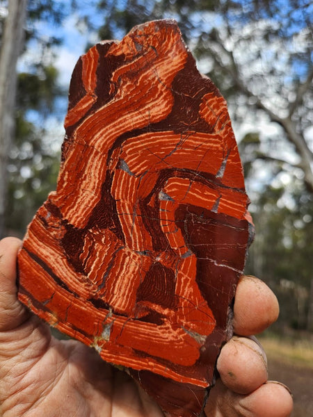 Polished  Snakeskin Jasper slab SS190