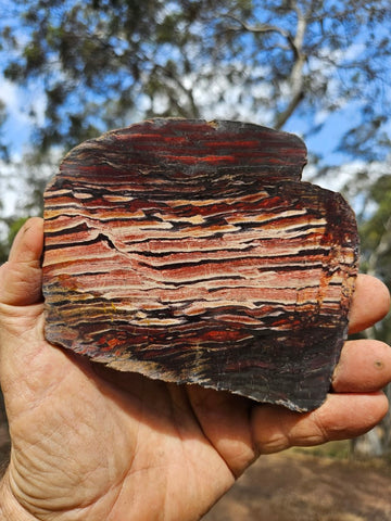 Polished Snakeskin Jasper slab  SS194