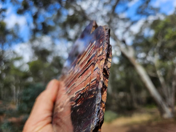 Polished Snakeskin Jasper slab  SS194