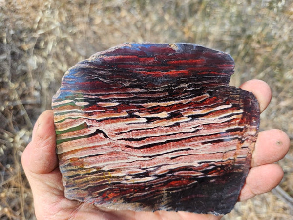 Polished Snakeskin Jasper slab  SS194