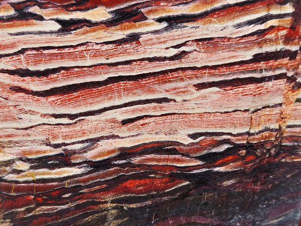 Polished Snakeskin Jasper slab  SS194