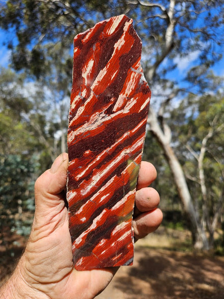 Polished  Snakeskin Jasper slab SS191