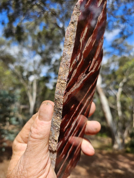 Polished  Snakeskin Jasper slab SS191