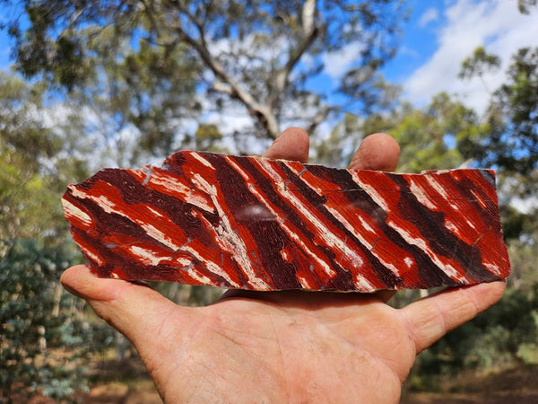 Polished  Snakeskin Jasper slab SS191