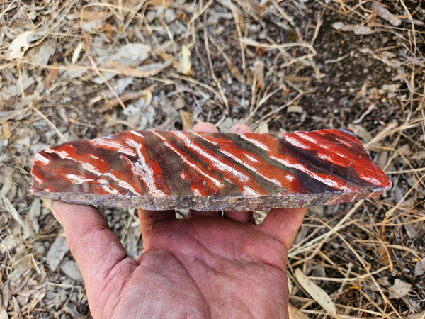 Polished  Snakeskin Jasper slab SS191