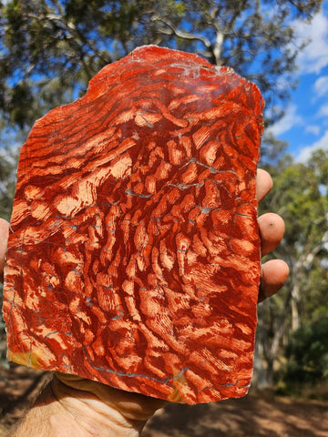 Polished  Snakeskin Jasper slab SS193