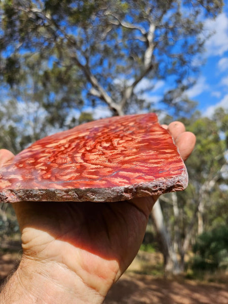 Polished  Snakeskin Jasper slab SS193