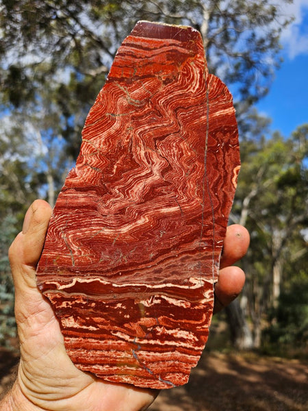 Polished  Snakeskin Jasper slab SS192