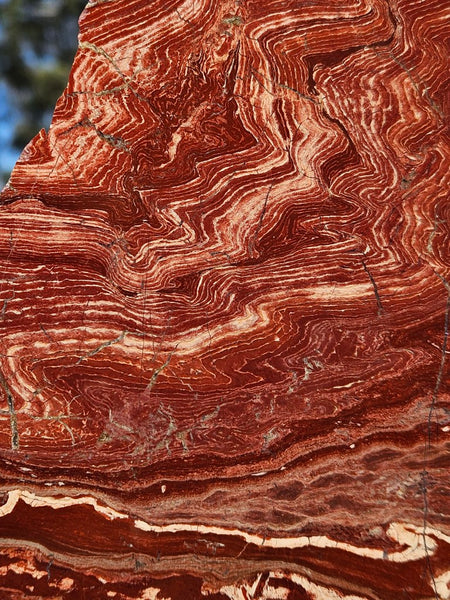 Polished  Snakeskin Jasper slab SS192