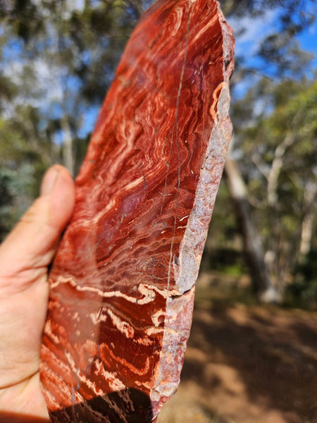 Polished  Snakeskin Jasper slab SS192