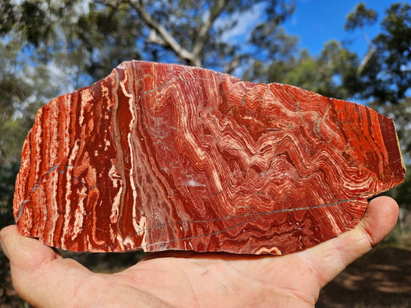 Polished  Snakeskin Jasper slab SS192